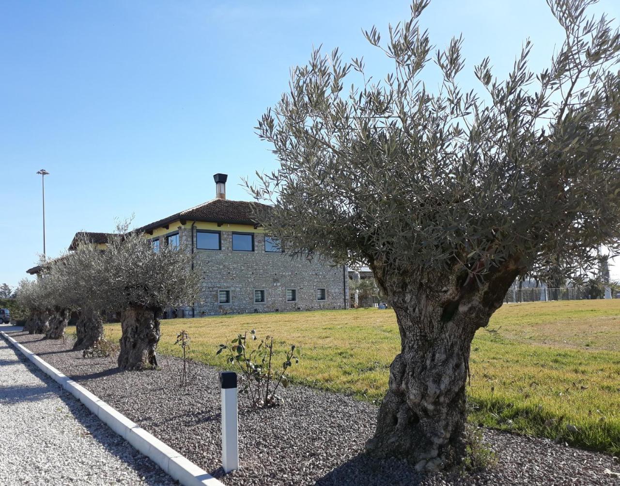 Agriturismo San Gallo Strassoldo エクステリア 写真